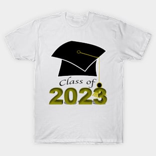 Graduation ABI 2023 Diplom University T-Shirt